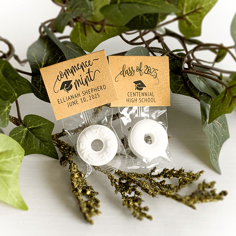 Graduation commencement party favors